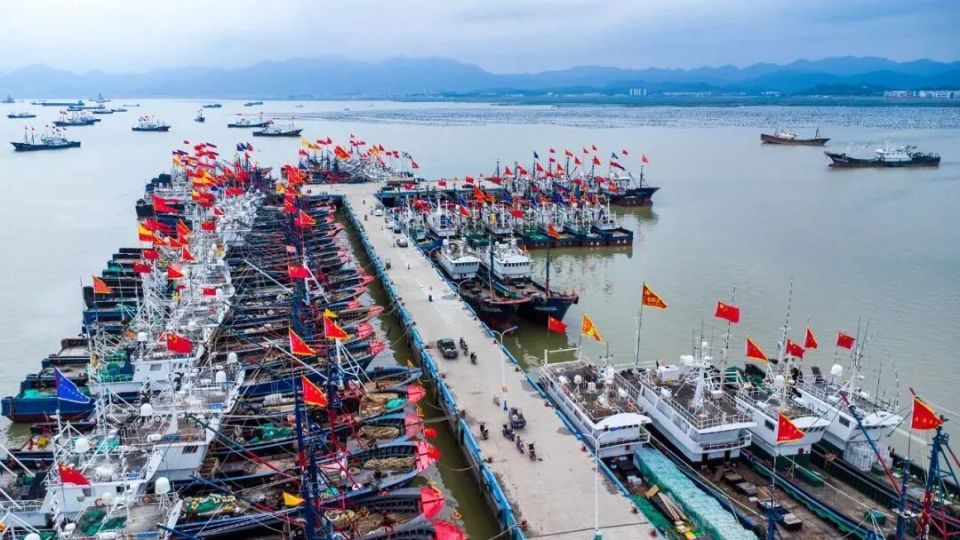 浙BA, 隔海相望, 东海浪潮